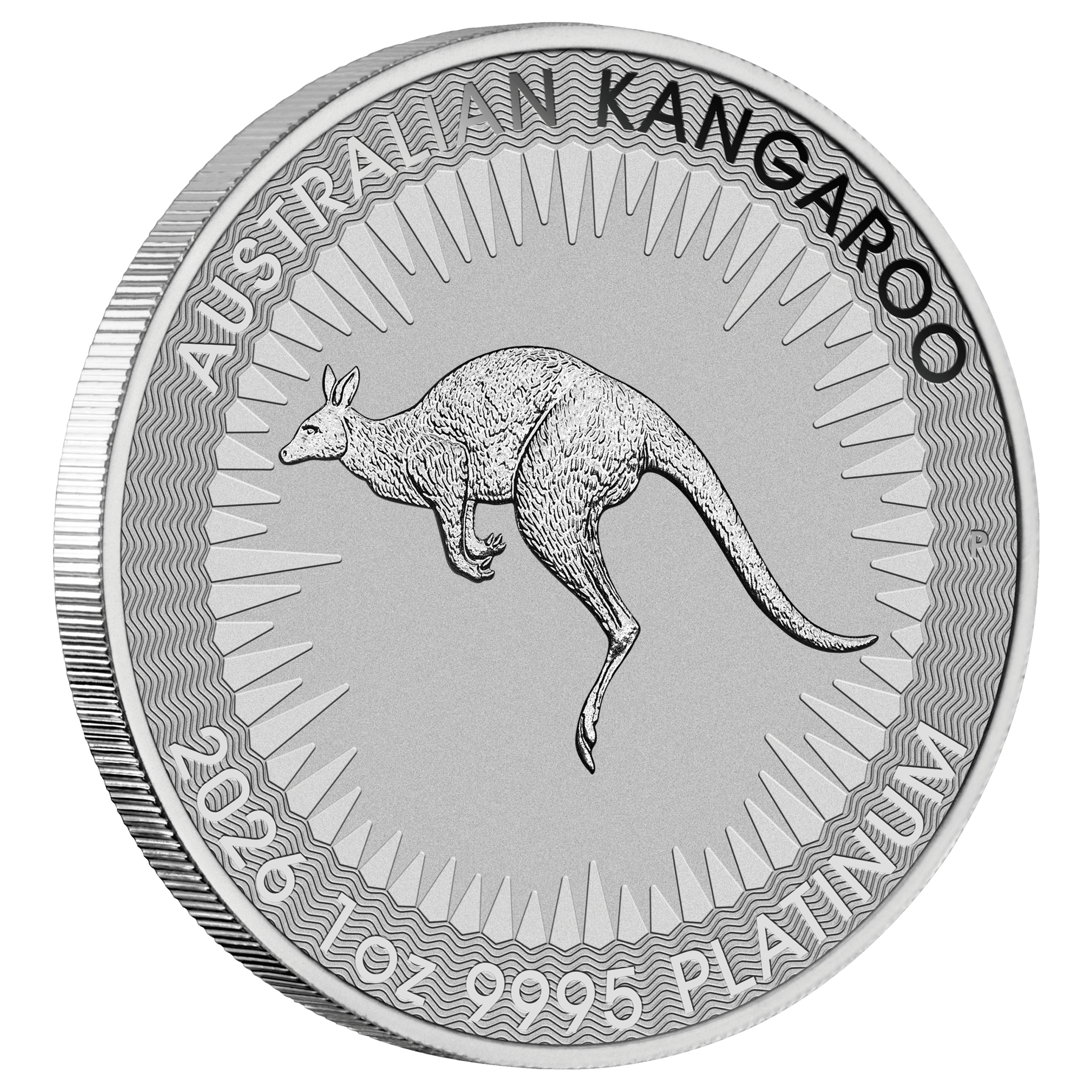 2026 Australian Kangaroo 1oz Platinum Coin